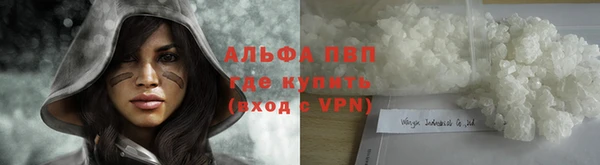 таблы Пересвет