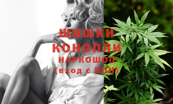 хмурый Дедовск